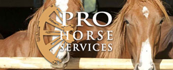 Professional Horse Services